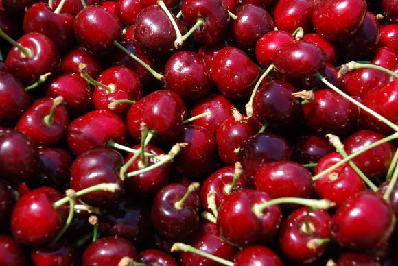 Importamos 300 mil toneladas de frutas e vegetais frescos, exportamos – 100 mil toneladas