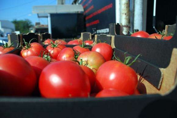 A Turquia pode se tornar um centro de armazenamento mundial para alimentos