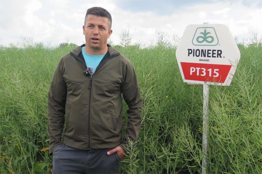 Com os híbridos Corteva Agriscience ™, as culturas polonesas dependem de alto rendimento e segunda cultura