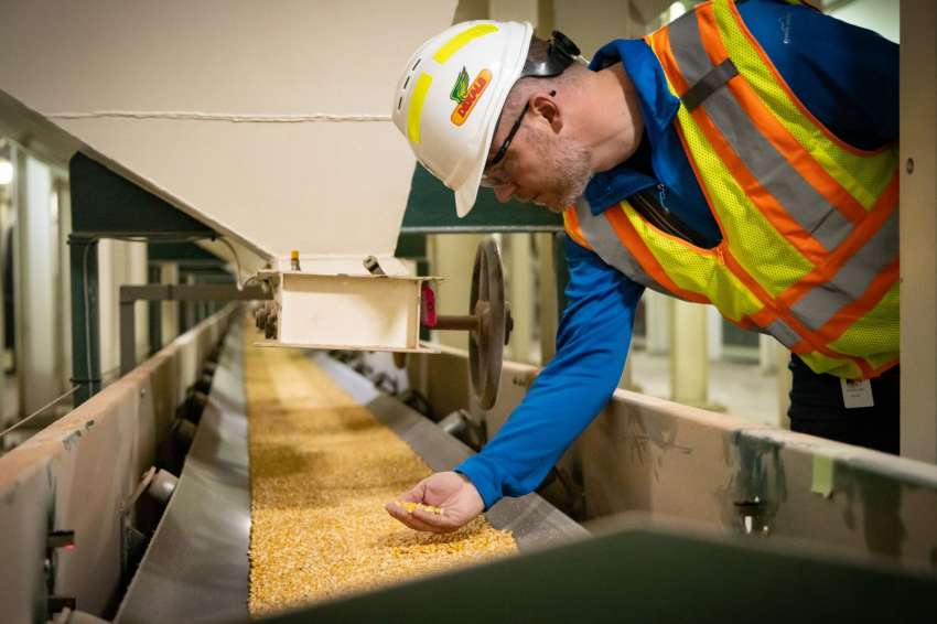A Bayer não se compromete com a qualidade das sementes DeKalb® para agricultores búlgaros