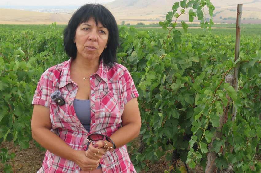 Estamos extremamente satisfeitos com o inovador sistema de irrigação Toro Tempus, disse o vale do vinho Bessa