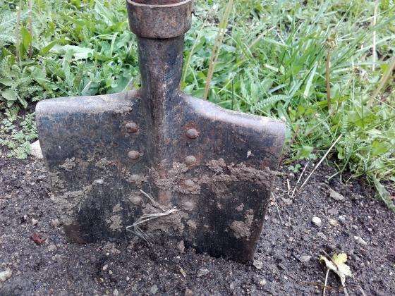 Tratamento de outono do solo contra o fitófista