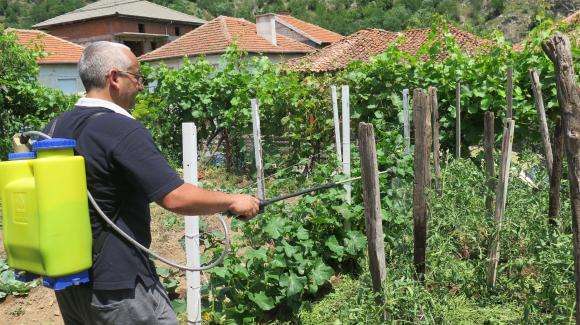 O permanganato de potássio é um forte anti -séptico usado no jardim