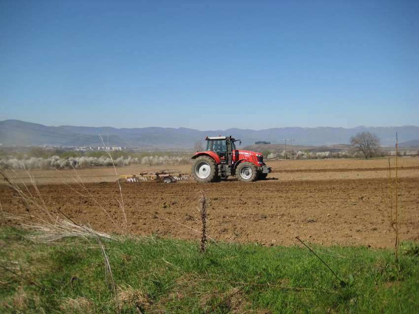 Importantes condições de cultivo do solo contra pragas
