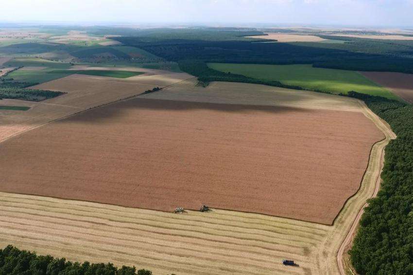 No final das verificações cruzadas, o dobro solicitou 7 420 acres