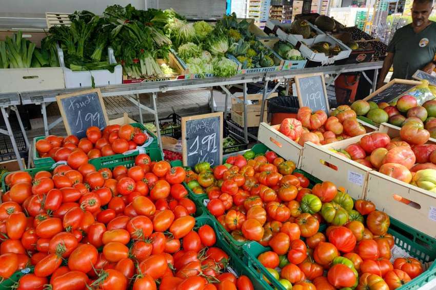 Apenas BGN 69 milhões foram transferidos para frutas e vegetais em 2024.