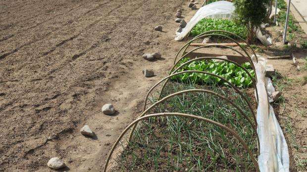 É bom esquecer a escavação profunda do solo