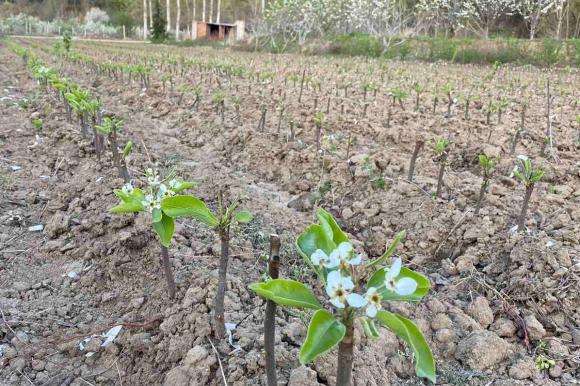 Clay Inferno ou paraíso fértil?