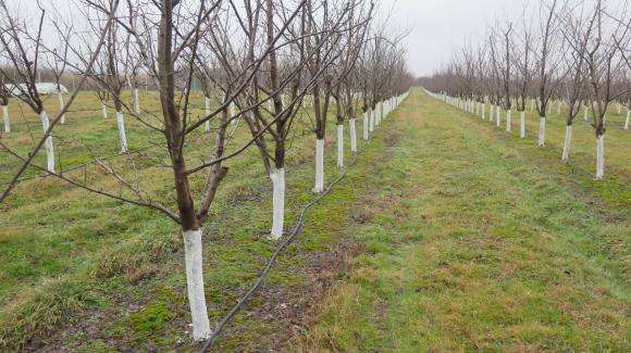 Novos testes na frente dos fundos no outono